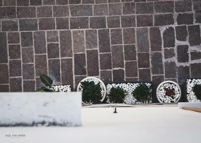 Daliani Cozy * 하니아